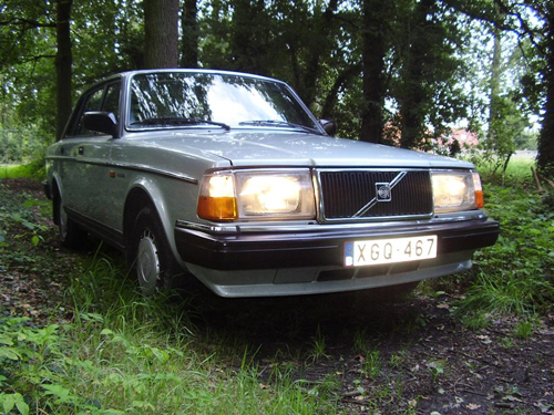 P1010009 (Large).JPG